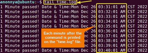 How to Use Linux Cron 的图像结果