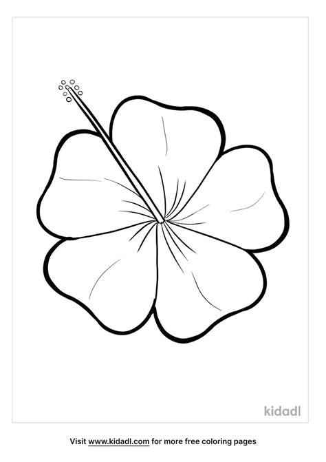 Hibiscus Flower Coloring Pages