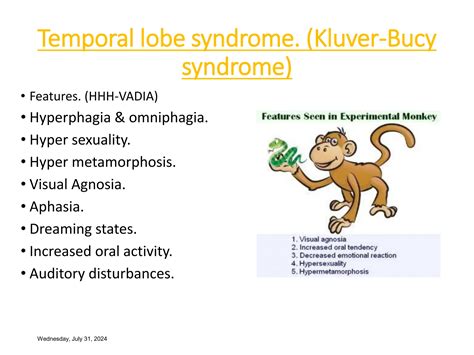 Syndrome Kluver Bucy