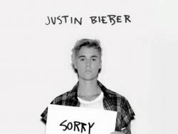 Mix Analysis: Sorry - Justin Bieber | pureMix.net