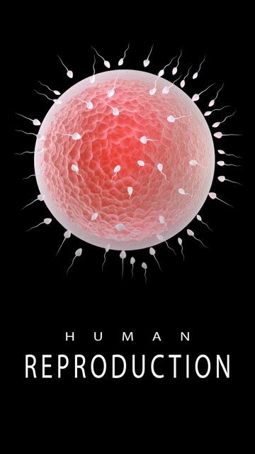 Image result for Human Reproduction in Action