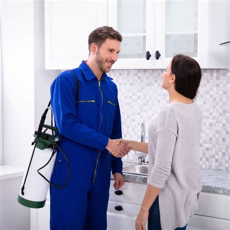 Monthly vs. Quarterly Pest Control — Contact Us Today