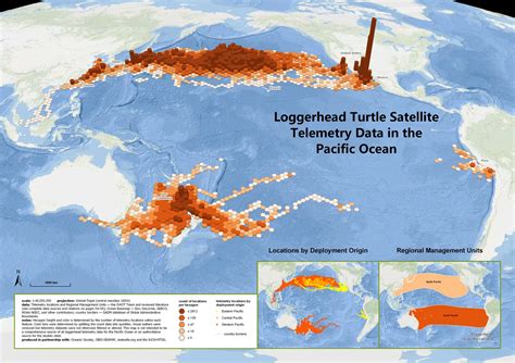 Maps — The State of the World's Sea Turtles | SWOT