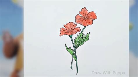 How To Draw A Poppy Flower Easy | Best Flower Site