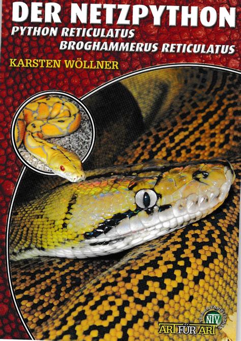 Image result for Netzpython