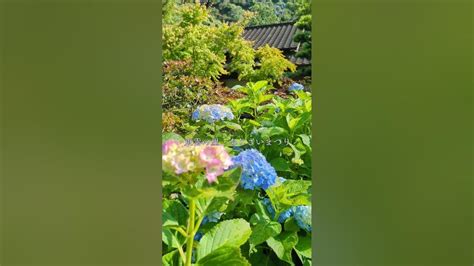 Image result for Give Me an Example of a Testing Script