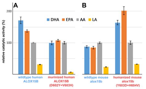 Functional Characterization of Mouse and Human Arachidonic Acid ...