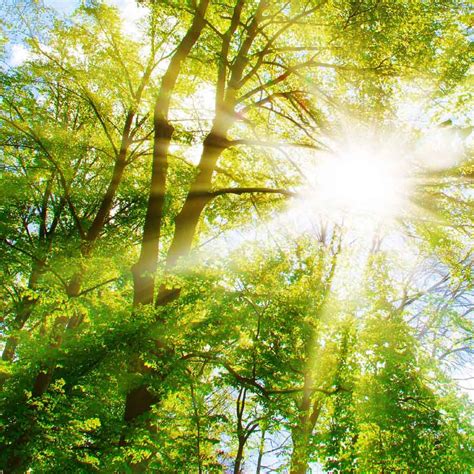 Environmental, Health and Safety Policy