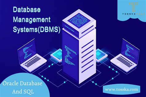 MySQL Select Optimization 的图像结果