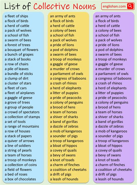 Collective Nouns List at Angelina Varley blog