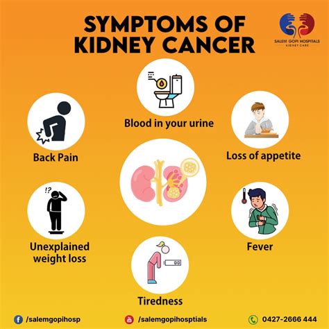 Kidney Cancer Symptoms, Causes, And Treatment