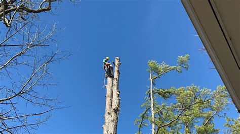 Image result for RC Tree Cutters