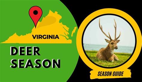 Virginia Deer Season 2025: VA Deer Hunting Guide [Dates, Rules, Bags ...