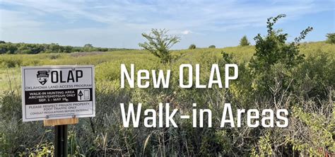 OLAP Update: 10/4/2022