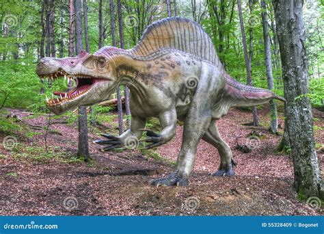 Real Pictures Of Dinosaurs