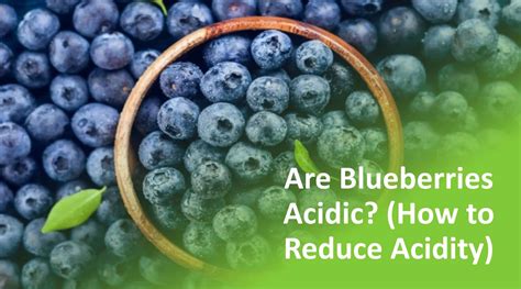 Are Blueberries Acidic? (How to Reduce Acidity)