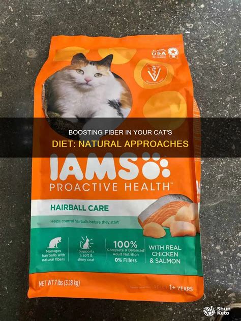Boosting Fiber In Your Cat's Diet: Natural Approaches | ShunKeto