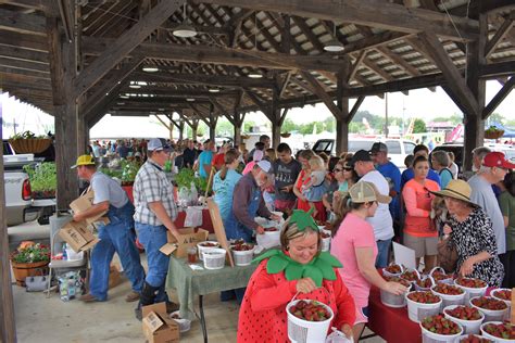 Bigger and better than ever: Strawberry Festival 2018 - The Cullman Tribune