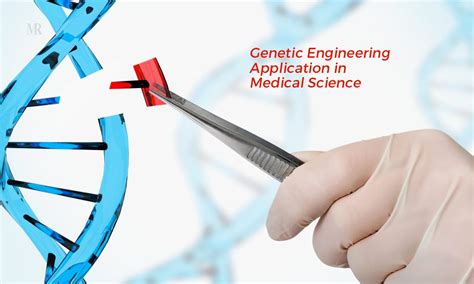 Application of Genetic Engineering 的图像结果