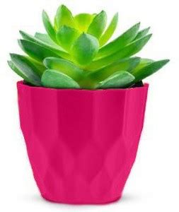 FULLSTOP 4 Inch Rich Pink Mini Plastic Planter Pots for Home and Table ...
