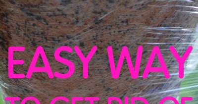 Image result for How to Remove Cellulite Fast