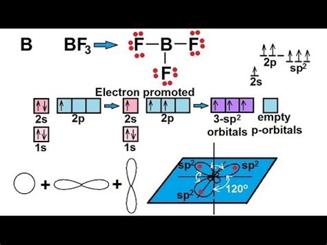 Mastering Chemistry: Hybridization of B in BF3 Simplified! - Transtutor ...