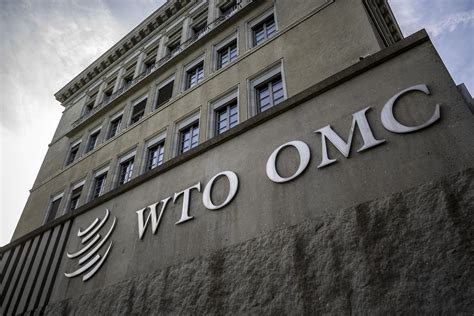 WTO 的图像结果