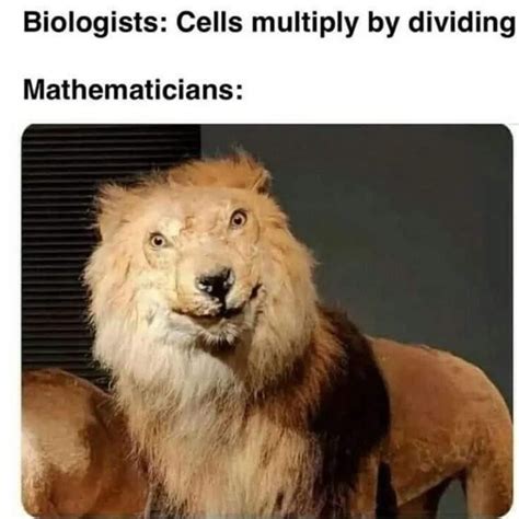 Biology Meme 的图像结果