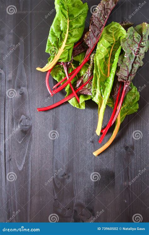 Freshly Picked Swiss Rainbow Mangold or Swiss Chard Rainbow Stock Photo ...