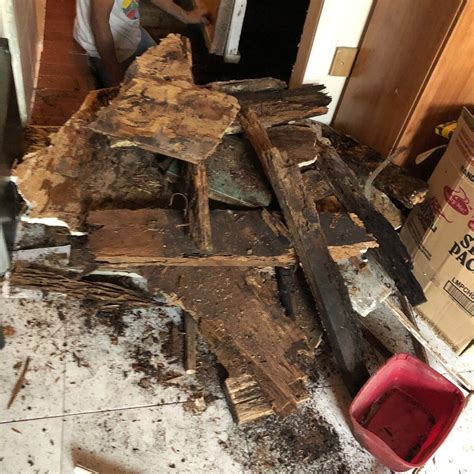 MDF BEACH RESORT (Samboan) - Specialty Resort Reviews, Photos, Rate ...