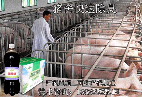 养猪厂粪便怎么处理，才能达到环境测评标准？-豫顺鑫机械