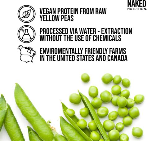 NAKED Shake - Vanilla Protein Powder - Plant Based India | Ubuy