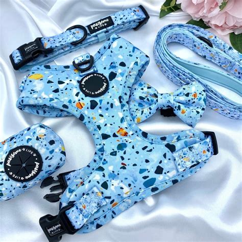 Dog Harness Set, Cute Harness and Leash, Collar Lead Matching Bundle ...