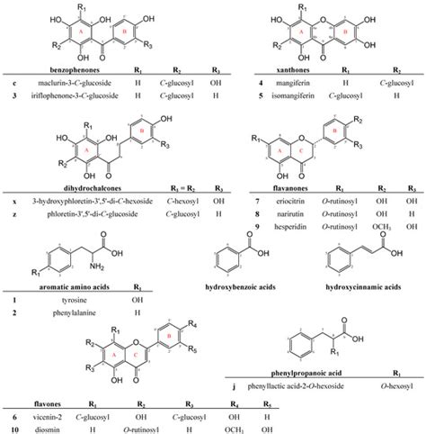 Comprehensive Phenolic Profiling of Cyclopia genistoides (L.) Vent. by ...