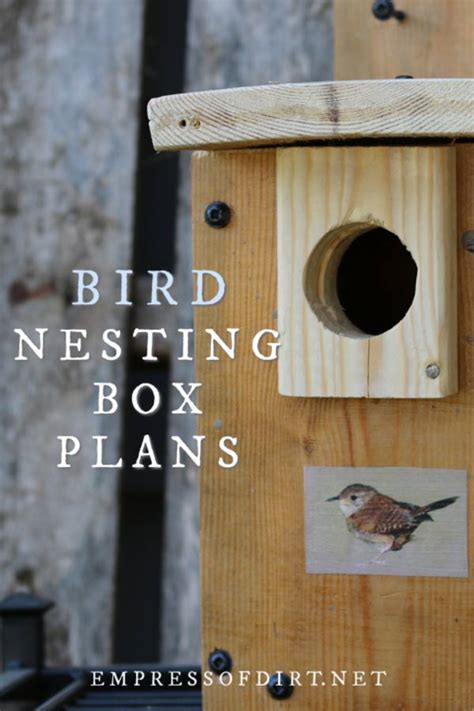Image result for Bird Nesting Boxes Plans