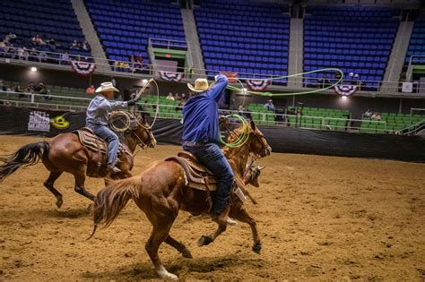 Image result for Team Roping Rodeo