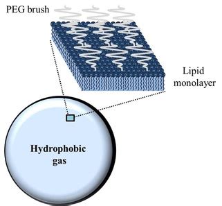 Image result for Definity Microbubbles