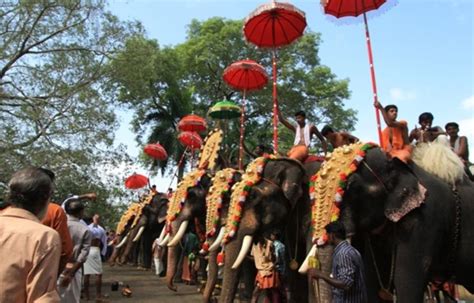 Ambalapuzha Festival 2020 in Sree Krishnaswamy temple India, photos ...