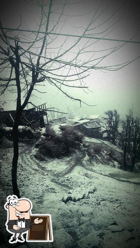 Moon Light Cafe Waichin, Malana - Restaurant reviews