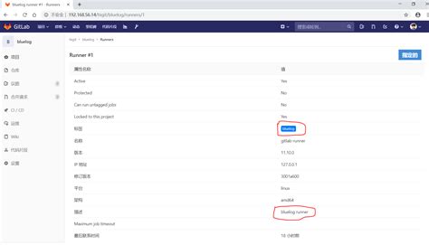 How to Use GitLab and GitLab Bash 的图像结果