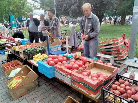 Novosti.rs | Galerija | SVI GUNĐAJU, ALI KUPUJU: Cene paprike za ajvar ...