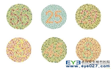 体检色谱图医院体检色弱测试图大全图册2022已更新今日图集