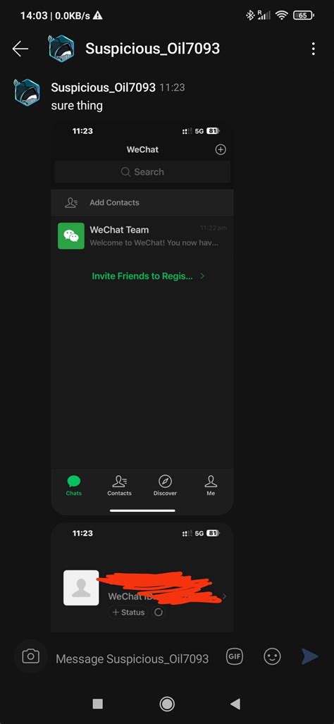 Image result for We Chat Scan QR Code