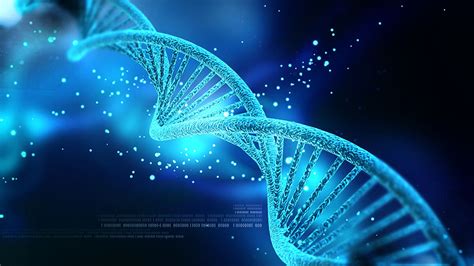 Image result for Genetics Algorithm Define