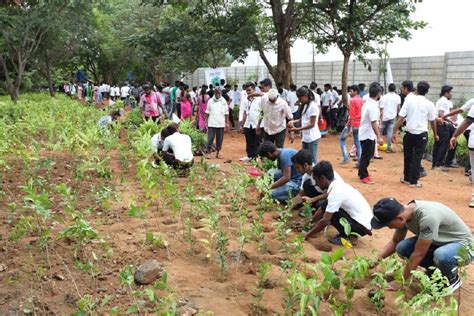 Events – Communitree