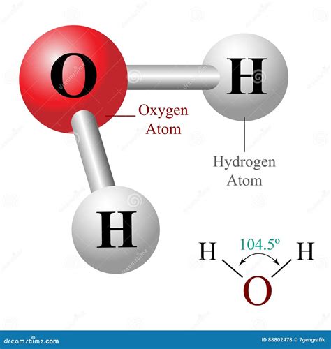 H2O Water Molecule Model And Chemical Formula Vector Illustration ...
