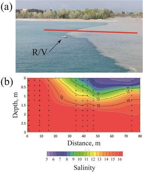 Lateral Border of a Small River Plume: Salinity Structure ...