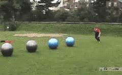 Image result for GIF Programming Random