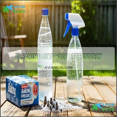 Image result for Bird Poop Removal