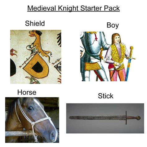 In the Middle Ages, knights were a type of professional warrior that fought for the medieval ...